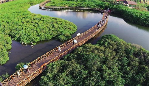 京掌柜老年食补糕点坊