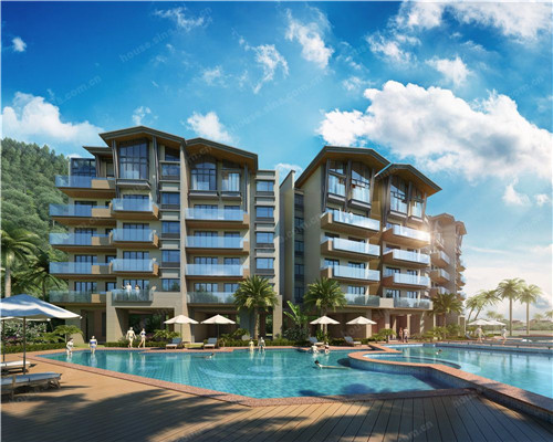 小熊伴嫁大鸡排