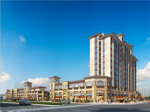 一只鲍鲍汁焖鸡