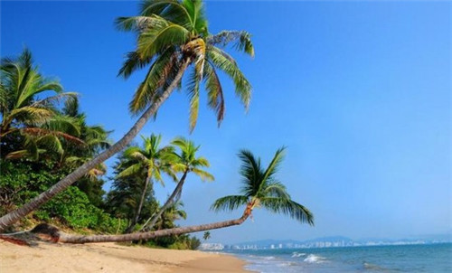 咏巷炸鸡加盟会亏钱吗