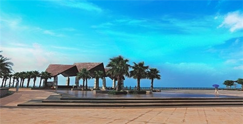 盲品英文（盲品是什么意思）