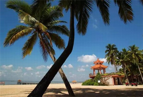 西班牙十大蜘蛛品种（西班牙十大蜘蛛品种有哪些）