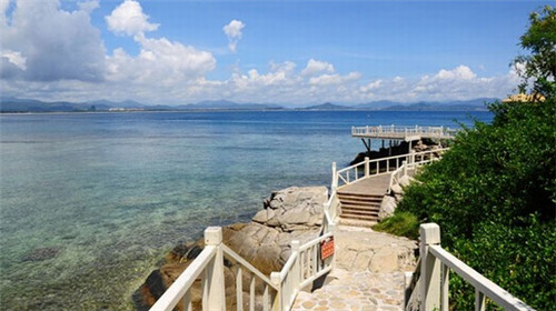 安吉县开店2026分茶器加盟店什么品牌还能做，安吉茶艺培训在哪里